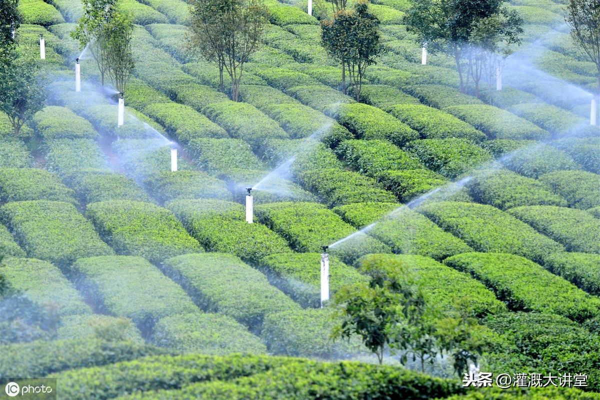 農(nóng)業(yè)灌溉資訊 | 未來(lái)幾年國(guó)內(nèi)農(nóng)業(yè)灌溉市場(chǎng)估計(jì)有多大? 農(nóng)業(yè)灌溉資訊 | 未來(lái)幾年國(guó)內(nèi)農(nóng)業(yè)灌溉市場(chǎng)估計(jì)有多大?